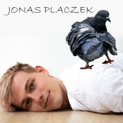 Mylène Farmer - Désenchantée (Jonas Placzek Remix)