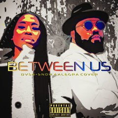 Between Us feat. Lauran Marie (dvsn x Snoh Aalegra Cover)