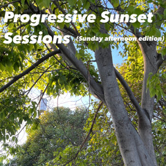 Progressive Sunset Sessions (Sunday Afternoon Edition) 2