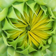 배경연 - 하면 된다, 할 수 있다