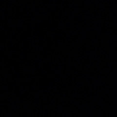 Because The Night