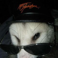 Our Time (Lily Allen Cover)