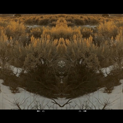 desert revelations - ꕥ 𝔢𝔞𝔯𝔱𝔥 ꕥ