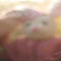 massi - see you at the end of the meadow