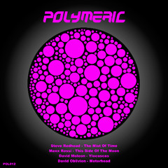 Steve Redhead - The Mist Of Time [Polymeric 12] Out now!