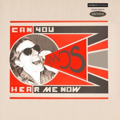 Can You Hear Me Now - Radio Edit - Streling Master - Louder