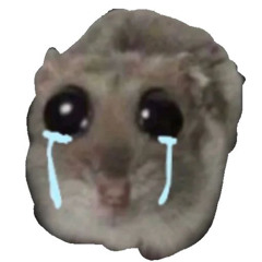 фристайлик перед сном