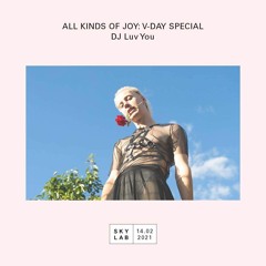 All Kinds Of Joy E6 V-Day Special - Skylab Radio