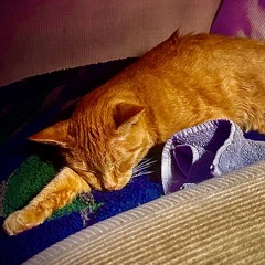 “Benny’s Sleeping Theme “