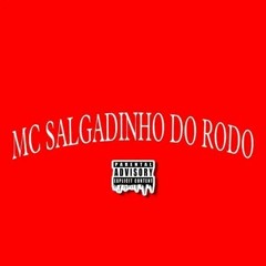 A AGENTE É O QUE É SEMPRE NA PUREZA MC SALGADINHO DO RODO ÁUDIO OFICIAL ( PROD. O ECKO 220 )