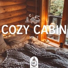 Cozy Cabin Vol. 2 🏕️ - A Calming Indie/Folk/Chill Playlist