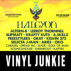 Vinyl Junkie - Shindig 2025