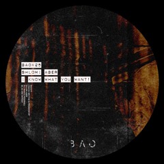 Premiere: Shlomi Aber - I Know What You Want [BAOX25]