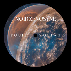 NOIR ZENOSYNE