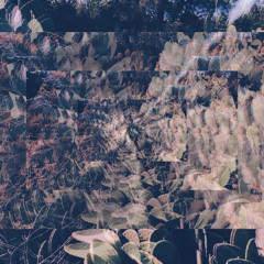 Dystopic Symptoms - The Story Of Prickly Pears