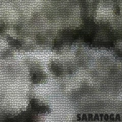 Saratoga V