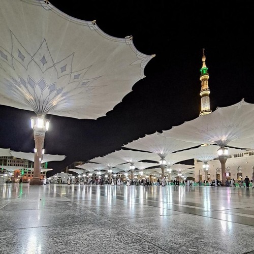 تلاوة لسورة الجن للشيخ د.أحمد الحذيفي فجر الأحد ١-٨-١٤٤٢هـ