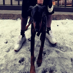 Dancing With The Devil