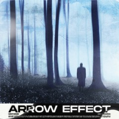 winternarnia & NONTHENSE - Arrow Effect