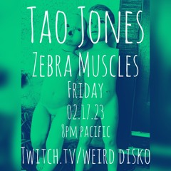 wEird disKo 029 - Zebra Muscles live on twitch 02.17.23