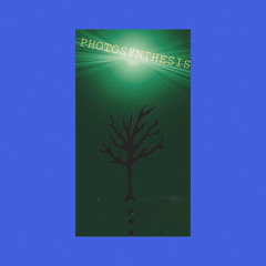 Photosynthesis