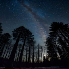 le jour et la nuit