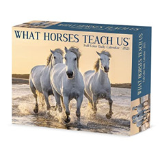[VIEW] PDF 🗸 What Horses Teach Us 2023 Box Calendar by  Willow Creek Press KINDLE PD