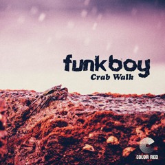 Funkboy