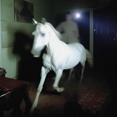 cameron x - I GO INTLUDE