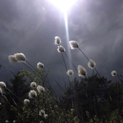 martyr [p. sylincr] ##angelboysww ##icu