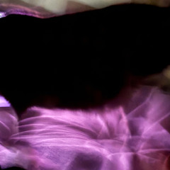 gemini (bounced version)