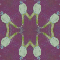 1 und halb Jahre (Lauer Remix)