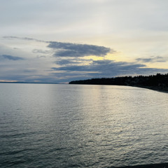 INTO YOU x TEGI PANNU