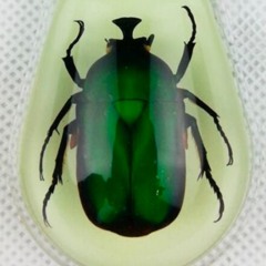 Canzun dil Bau - stereo draft