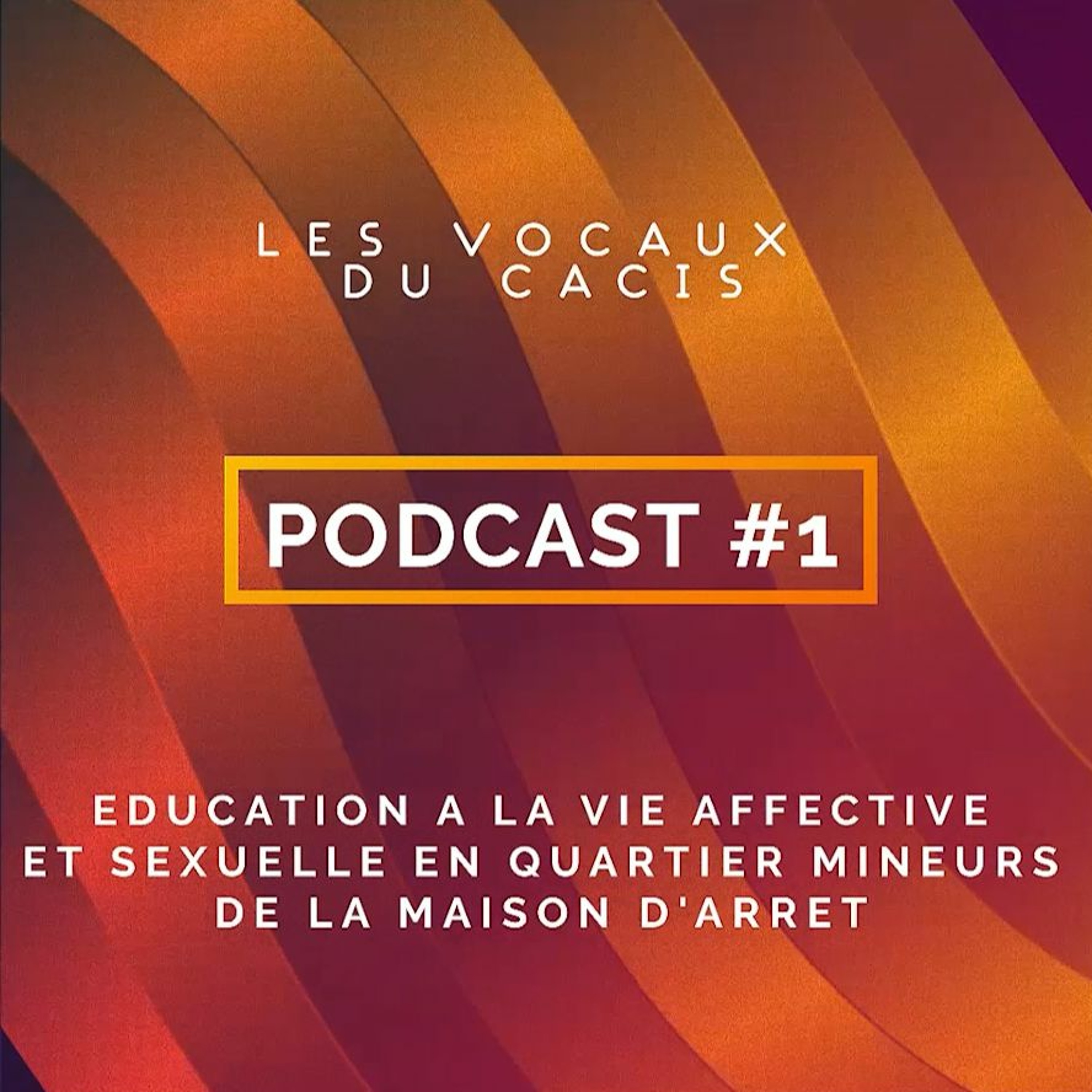 Les vocaux du Cacis