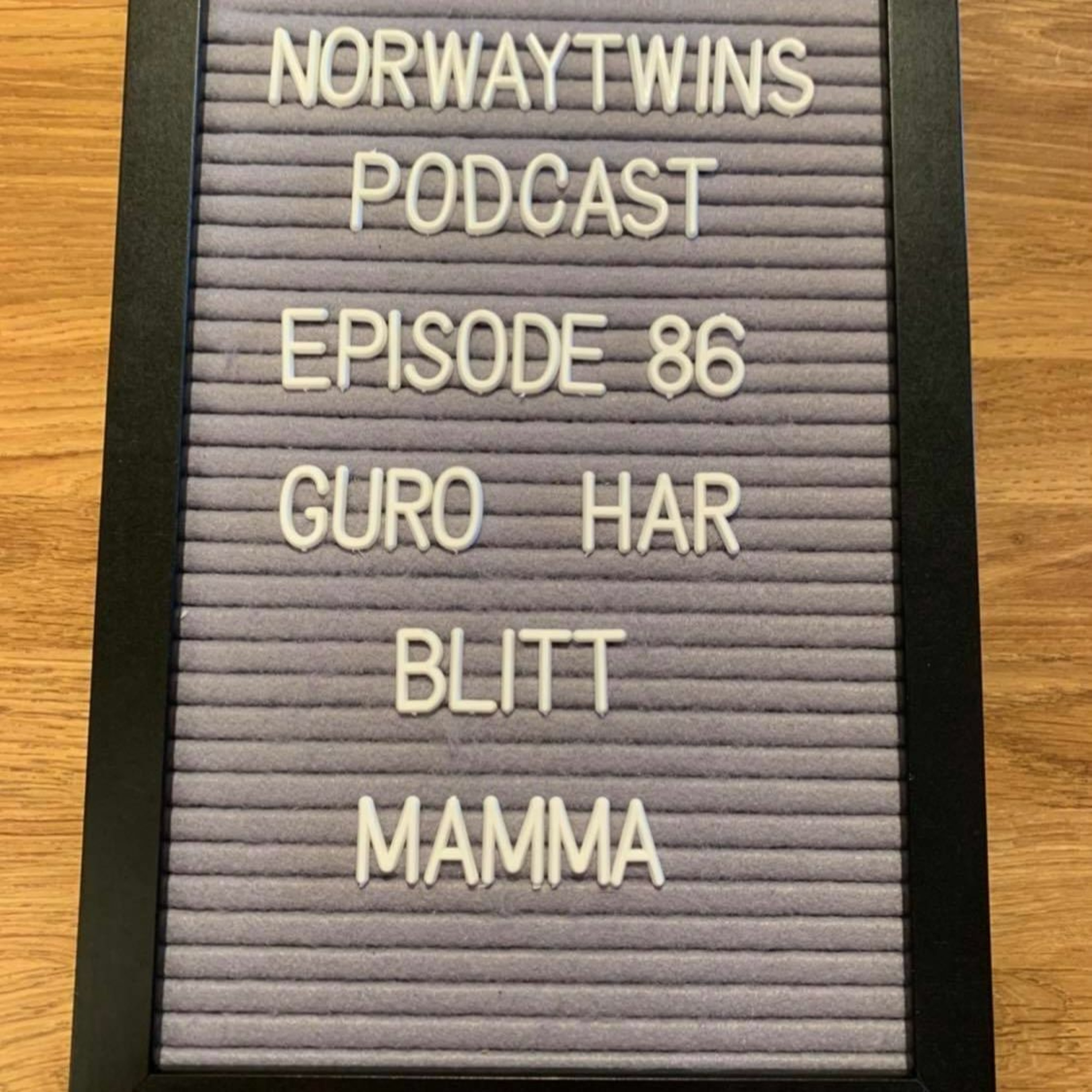Norwaytwins om ting og tang