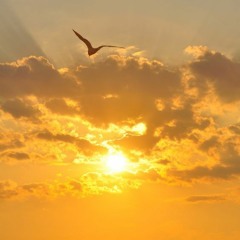 Hoping For A Better Day (Quentin - WIP)