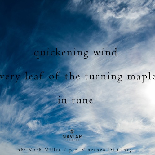 haiku #407: quickening wind / every leaf of the turning maple / in tune