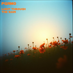 Light Through the Rain