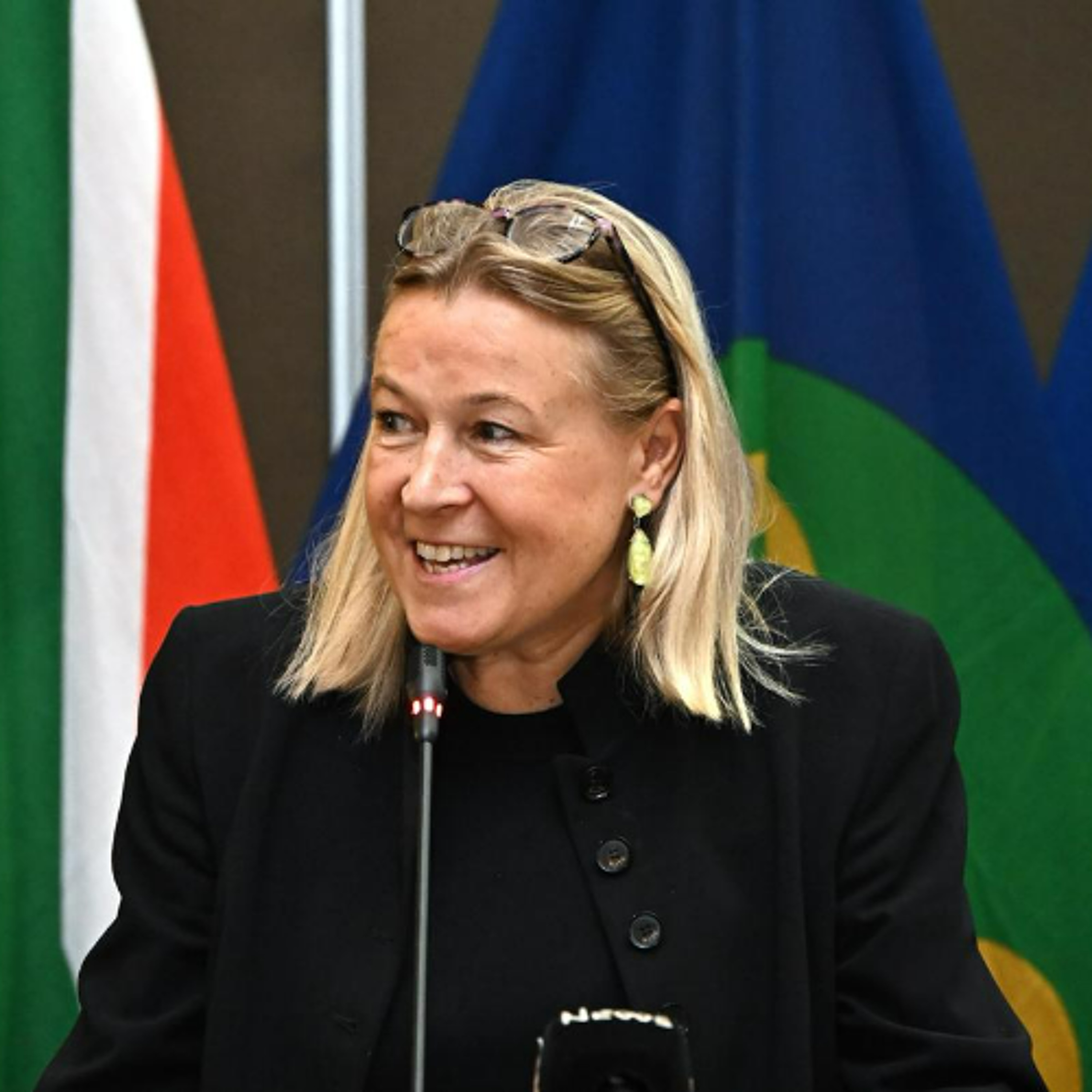 Ambassador Sandra Kramer EU Delegation SADC Workshop Official Opening Remarks