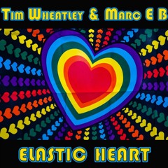 Tim Wheatley & Marc E B - Elastic Heart [Sample]