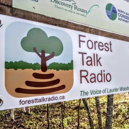 Forest Talk Radio - The UK Urban Tree Festival