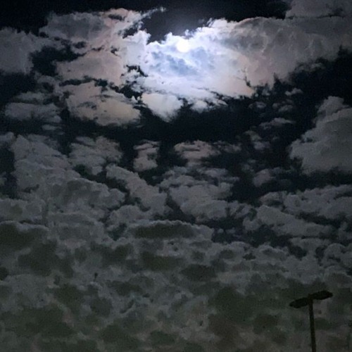 someone on this account posted this instrumental and i liked it so i used it