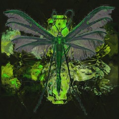 Föreningen Yggdrasil