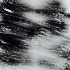 Fragments