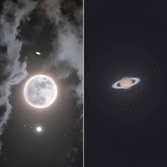 Alien_in_the Freezer