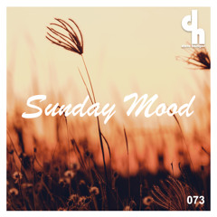 Dave Harrigan - Sunday Mood 073