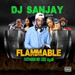 Dj Sanjay - Flamable Dancehall Mix (202)1