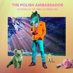 The Polish Ambassador - Gathering Of The Tribes (& Friends Mix)
