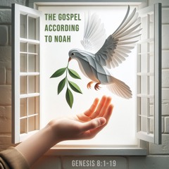 505 The Gospel According To Noah (Genesis 8:1-19) Audio